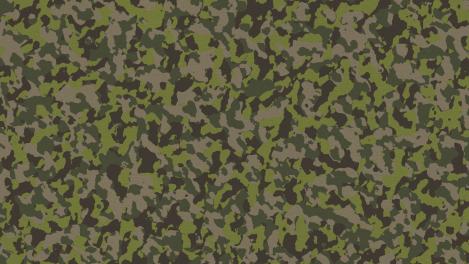 Le service militaire volontaire, c'est quoi ? 