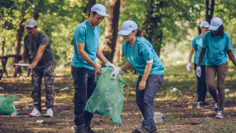 Les chantiers de jeunes bénévoles