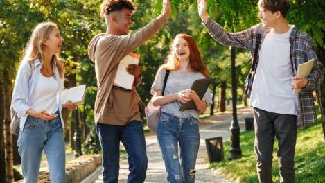 Les établissements pour l'insertion dans l'emploi (EPIDE) 