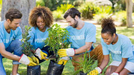 Comment participer à un chantier de jeunes bénévoles ? 