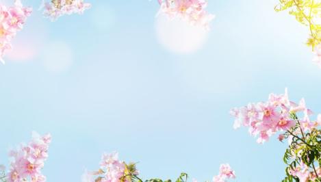 Ce qui change en mai