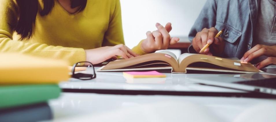 Après la 3ème, quelles sont mes options ?