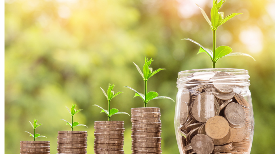 Des p'tits gestes écolos pour dépenser moins 