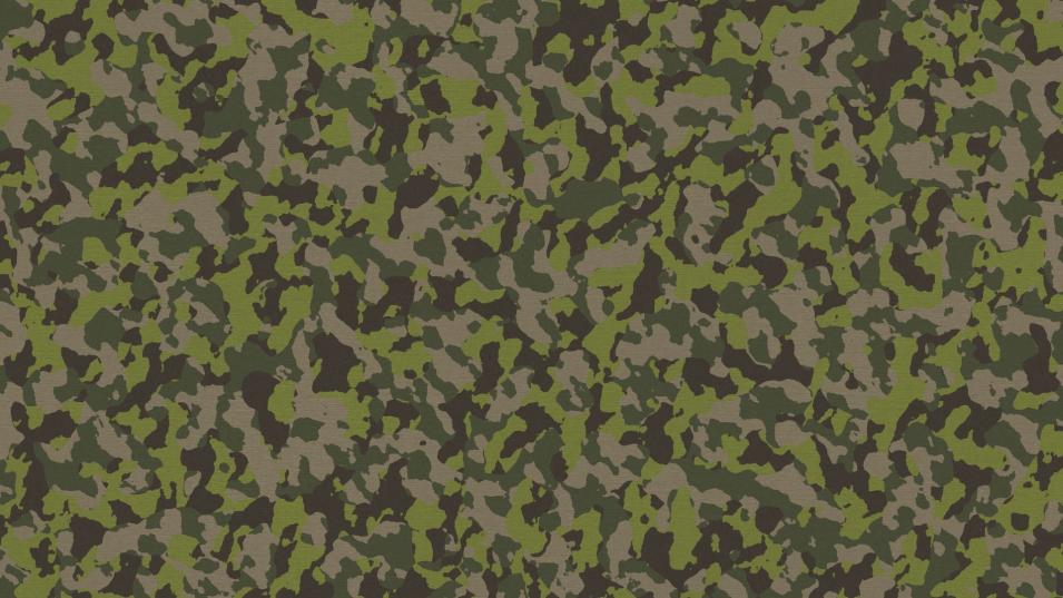 Le service militaire volontaire, c'est quoi ? 