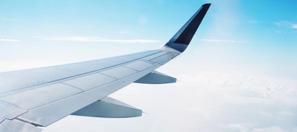 Le volontariat à l'étranger : quelles options ? 