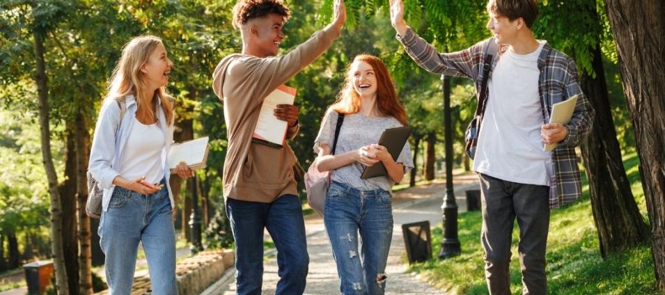 Les établissements pour l'insertion dans l'emploi (EPIDE) 
