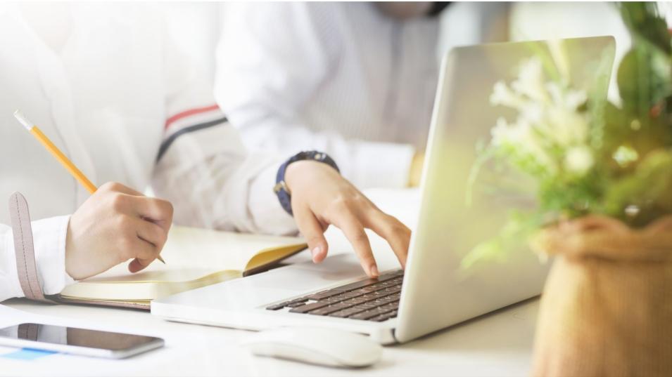 Parcoursup : quelles formations sont disponibles ? 