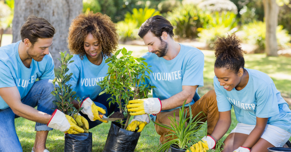 Comment participer à un chantier de jeunes bénévoles ? 