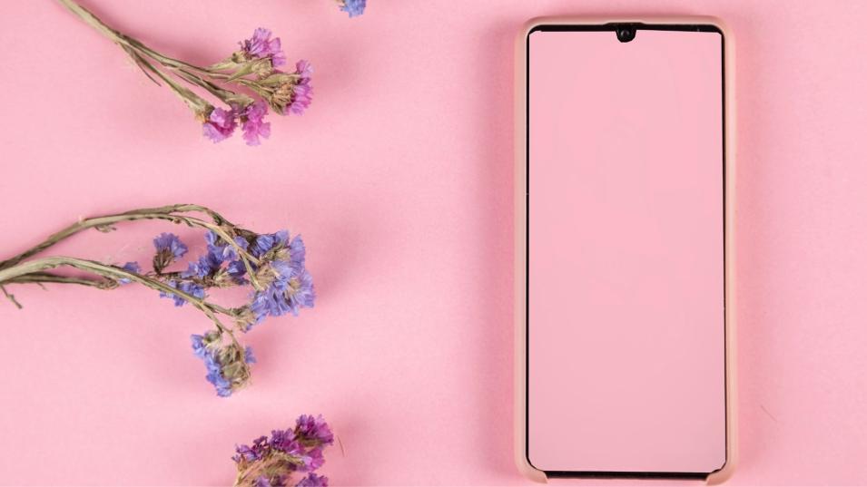 Réfugiés.info : l'application coup de pouce pour les démarches administratives !